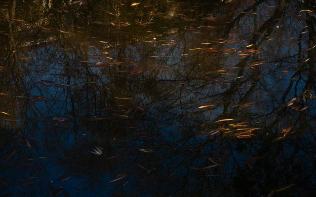 How AI Is Transforming Business Operations in 2026