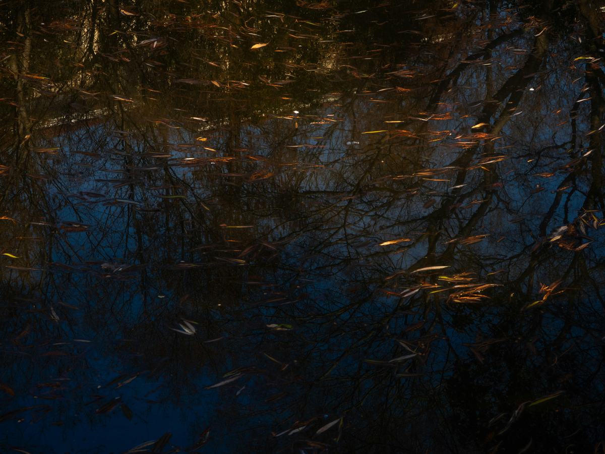 How AI Is Transforming Business Operations in 2026